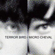 Terror Bird- Micro Cheval - Split LP