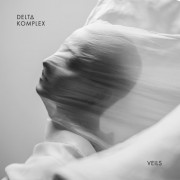 Delta Komplex - Veils