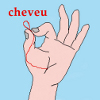 Cheveu - Cheveu