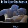 In The Night Time Sampler