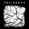 Palissade - Palissade