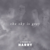 The Sky Is Grey- A Tribute To Harry