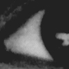 Veil Of Light - Pale Eyes