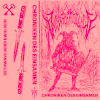 Vestron Vulture - Chroniken Des Einsamen