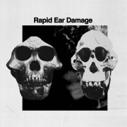 Rapid Ear Damage - R.E.D
