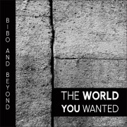 Bibo & Beyond - The World You Wanted