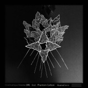 Cinematique Inverse & Phantom Carbon - HuanaDenn