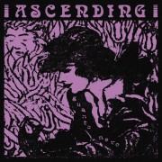 Ascending - Guanto Nero
