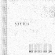 Soft Vein - From Another Room